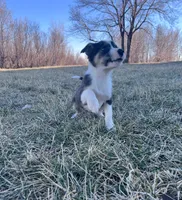 processed/4c68deb2-bd12-4ddb-969a-5036c0747cd4/listing/8a3c7be2-7692-412a-82e0-2de7a4268ea0/f278a4b7-378e-4f7c-aac4-6659989201c7