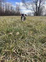 processed/4c68deb2-bd12-4ddb-969a-5036c0747cd4/listing/8a3c7be2-7692-412a-82e0-2de7a4268ea0/f34e3218-4146-4fa3-aa3c-457c6161251d