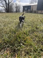 processed/4c68deb2-bd12-4ddb-969a-5036c0747cd4/listing/940ca061-4540-4cd5-b86a-b5b7d70bf26c/1d5ae8c5-63ad-4559-a619-c3664fcdfd22