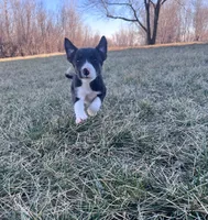 processed/4c68deb2-bd12-4ddb-969a-5036c0747cd4/listing/940ca061-4540-4cd5-b86a-b5b7d70bf26c/5302dcf2-1aa6-4ca7-9c8c-ebb3cba2c023