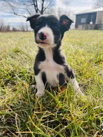 processed/4c68deb2-bd12-4ddb-969a-5036c0747cd4/listing/940ca061-4540-4cd5-b86a-b5b7d70bf26c/a0240e33-3680-4f49-a8a5-729199349d9a