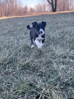 processed/4c68deb2-bd12-4ddb-969a-5036c0747cd4/listing/940ca061-4540-4cd5-b86a-b5b7d70bf26c/bb42defc-8f51-47dc-89e7-5bd549fe0d81