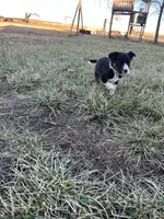 processed/4c68deb2-bd12-4ddb-969a-5036c0747cd4/listing/940ca061-4540-4cd5-b86a-b5b7d70bf26c/caca3c32-47ce-4e5e-b744-bdee97ec4f8c