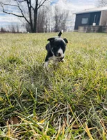 processed/4c68deb2-bd12-4ddb-969a-5036c0747cd4/listing/940ca061-4540-4cd5-b86a-b5b7d70bf26c/ed8a0241-ac45-4f1e-85d3-7e010f418b2d