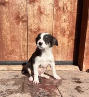 processed/4c68deb2-bd12-4ddb-969a-5036c0747cd4/listing/b77c43f8-ad08-48b5-bcd1-a6cd53102235/0bc4ec36-95ac-4ba1-b7e1-a75bf21279a3