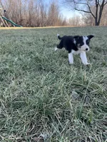 processed/4c68deb2-bd12-4ddb-969a-5036c0747cd4/listing/b77c43f8-ad08-48b5-bcd1-a6cd53102235/14cd1004-f50b-45ce-8c48-d97c6778a9e1