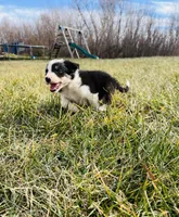 processed/4c68deb2-bd12-4ddb-969a-5036c0747cd4/listing/b77c43f8-ad08-48b5-bcd1-a6cd53102235/2b263b39-7973-4a90-9604-7bde46646393