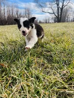 processed/4c68deb2-bd12-4ddb-969a-5036c0747cd4/listing/b77c43f8-ad08-48b5-bcd1-a6cd53102235/3aef4ee8-42a6-46c2-90b0-b4fa2ef8614e