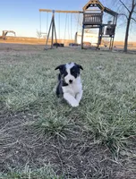 processed/4c68deb2-bd12-4ddb-969a-5036c0747cd4/listing/b77c43f8-ad08-48b5-bcd1-a6cd53102235/8756ea0b-b10f-46bc-b6b9-a9aef7725485