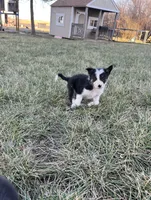 processed/4c68deb2-bd12-4ddb-969a-5036c0747cd4/listing/b77c43f8-ad08-48b5-bcd1-a6cd53102235/92392ce0-c836-4457-9d47-b56a50a17aca