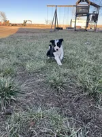 processed/4c68deb2-bd12-4ddb-969a-5036c0747cd4/listing/b77c43f8-ad08-48b5-bcd1-a6cd53102235/bfd26b00-8a0b-4b80-8bc4-c6d1ae594dbd