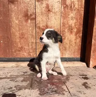 processed/4c68deb2-bd12-4ddb-969a-5036c0747cd4/listing/b77c43f8-ad08-48b5-bcd1-a6cd53102235/ed1f181a-dbf2-4799-8e03-b7e48328b193