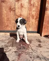 processed/4c68deb2-bd12-4ddb-969a-5036c0747cd4/listing/b77c43f8-ad08-48b5-bcd1-a6cd53102235/f1557fc6-0f2a-4deb-84a0-726343a9396d