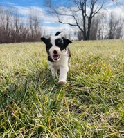 processed/4c68deb2-bd12-4ddb-969a-5036c0747cd4/listing/b77c43f8-ad08-48b5-bcd1-a6cd53102235/f9466459-f198-47ab-a6b1-9da9af4125e4