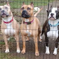 processed/4c6b0514-907e-423d-a392-729210400d5d/facility/0729857b-c6e7-46f3-9b0a-61ba94691b83