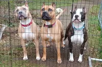 processed/4c6b0514-907e-423d-a392-729210400d5d/facility/0729857b-c6e7-46f3-9b0a-61ba94691b83