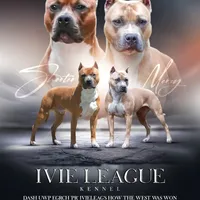 processed/4c6b0514-907e-423d-a392-729210400d5d/facility/0c8ba4be-f5f0-4281-9e75-568c93d9e6be