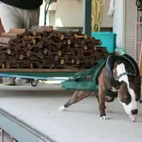 processed/4c6b0514-907e-423d-a392-729210400d5d/facility/27169ef1-3f91-40ef-9134-30722807d354