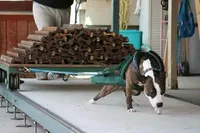 processed/4c6b0514-907e-423d-a392-729210400d5d/facility/27169ef1-3f91-40ef-9134-30722807d354