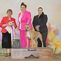 processed/4c6b0514-907e-423d-a392-729210400d5d/facility/76dabb74-e9a2-477e-98c6-ff135ad544a1