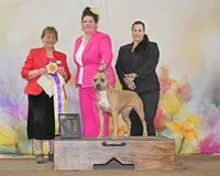 processed/4c6b0514-907e-423d-a392-729210400d5d/facility/76dabb74-e9a2-477e-98c6-ff135ad544a1