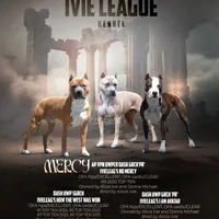 processed/4c6b0514-907e-423d-a392-729210400d5d/facility/ce3af349-6b85-4516-9e0f-66f8cf0b75fe