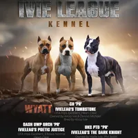 processed/4c6b0514-907e-423d-a392-729210400d5d/facility/e447752f-36b7-4085-9dd5-cca86f7a388d