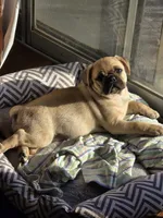 processed/4c77040b-a384-4c03-81cc-4c6729321986/listing/6cd5651d-61d5-45fc-84c6-036c311a8286/71f4cfef-758d-4b4d-8a3b-d9d2e2aca9a8