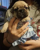 processed/4c77040b-a384-4c03-81cc-4c6729321986/listing/6cd5651d-61d5-45fc-84c6-036c311a8286/a7ec9dcd-f0a4-423d-ba34-749e4c835e83