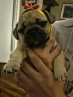 processed/4c77040b-a384-4c03-81cc-4c6729321986/listing/6cd5651d-61d5-45fc-84c6-036c311a8286/d838dd08-a3c9-42a9-a3bc-123dddeb37d3