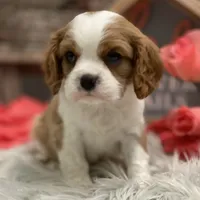 processed/4c77ce04-4a20-4d18-9609-4c5ac81fbcb1/facility/344e2100-ca33-43d7-8518-4745a7127a03