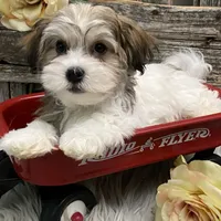 processed/4c77ce04-4a20-4d18-9609-4c5ac81fbcb1/facility/3454f2ed-b7ca-48e9-b444-d812547a5d5f