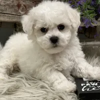 processed/4c77ce04-4a20-4d18-9609-4c5ac81fbcb1/facility/b3f62f76-c726-431d-9fc1-30089b63cae8