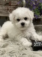 processed/4c77ce04-4a20-4d18-9609-4c5ac81fbcb1/facility/b3f62f76-c726-431d-9fc1-30089b63cae8