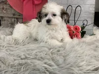 processed/4c77ce04-4a20-4d18-9609-4c5ac81fbcb1/listing/05c87fe8-6d9e-4db3-8092-b0798ce38a9f/0f515760-711c-4375-96ec-dac98011dd6a