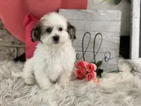 processed/4c77ce04-4a20-4d18-9609-4c5ac81fbcb1/listing/05c87fe8-6d9e-4db3-8092-b0798ce38a9f/45affa2b-527a-43d9-9ffa-5ca948c495ea