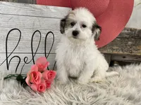 processed/4c77ce04-4a20-4d18-9609-4c5ac81fbcb1/listing/05c87fe8-6d9e-4db3-8092-b0798ce38a9f/e69d9808-f123-402f-bb38-0ce778ae24a5