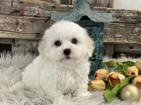 processed/4c77ce04-4a20-4d18-9609-4c5ac81fbcb1/listing/0dfb3c50-2839-4b53-ba26-f3ad197315ae/3a21f2d8-505b-4e39-bdb0-049dae40795c