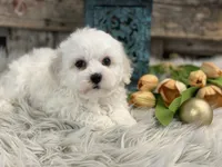 processed/4c77ce04-4a20-4d18-9609-4c5ac81fbcb1/listing/0dfb3c50-2839-4b53-ba26-f3ad197315ae/db7fdd85-05af-406c-a1aa-81489bdb491d