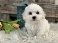 processed/4c77ce04-4a20-4d18-9609-4c5ac81fbcb1/listing/0dfb3c50-2839-4b53-ba26-f3ad197315ae/f7c326de-9c23-49a8-9154-8ce1d4af2a91