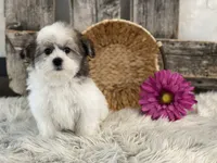 processed/4c77ce04-4a20-4d18-9609-4c5ac81fbcb1/listing/1c15f06b-250e-4b91-82c2-cb0d559400cb/b189514d-bf0c-47fe-ae6b-2d5fb12b8087