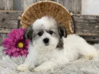 processed/4c77ce04-4a20-4d18-9609-4c5ac81fbcb1/listing/1c15f06b-250e-4b91-82c2-cb0d559400cb/b9da94d1-cd25-489a-974f-c6f61b9cebfb