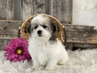 processed/4c77ce04-4a20-4d18-9609-4c5ac81fbcb1/listing/1c15f06b-250e-4b91-82c2-cb0d559400cb/e48a0354-902a-4e31-b1b3-beb43b027f52