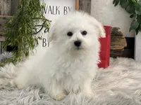 processed/4c77ce04-4a20-4d18-9609-4c5ac81fbcb1/listing/1fb4bfcd-0308-4ed4-ad31-177c6f5a9156/2d014e62-edde-4d05-9ede-06437f2c44db