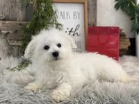 processed/4c77ce04-4a20-4d18-9609-4c5ac81fbcb1/listing/1fb4bfcd-0308-4ed4-ad31-177c6f5a9156/36a33b19-23c0-47fb-a3c3-c7d792393b21