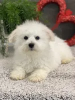 processed/4c77ce04-4a20-4d18-9609-4c5ac81fbcb1/listing/1fb4bfcd-0308-4ed4-ad31-177c6f5a9156/de8b21dc-1888-4053-81d1-a1eda753d35b