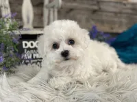 processed/4c77ce04-4a20-4d18-9609-4c5ac81fbcb1/listing/28e63de2-632a-4a1e-961c-8072b2157ddb/63ef3f13-edfa-473a-8d18-d6a3dd1dcf0e