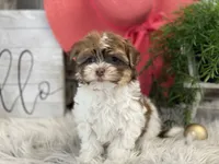 processed/4c77ce04-4a20-4d18-9609-4c5ac81fbcb1/listing/2d7f7319-e114-48a7-907b-740a3a3cd61d/b2ccd13f-9dfe-453d-ba26-8654ac1d07ad