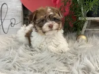 processed/4c77ce04-4a20-4d18-9609-4c5ac81fbcb1/listing/2d7f7319-e114-48a7-907b-740a3a3cd61d/d0e1d123-0abb-4a8a-815b-cc9fbd842406