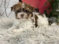 processed/4c77ce04-4a20-4d18-9609-4c5ac81fbcb1/listing/2d7f7319-e114-48a7-907b-740a3a3cd61d/f5de1836-67c3-4491-9cbc-d63005d75e71